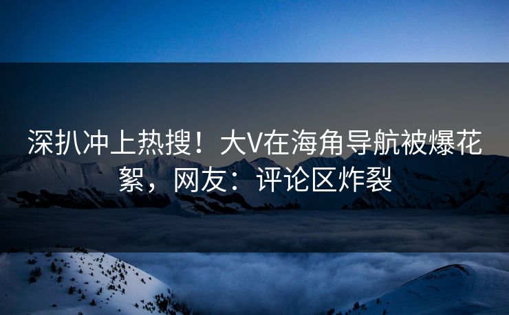 深扒冲上热搜！大V在海角导航被爆花絮，网友：评论区炸裂