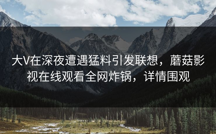 大V在深夜遭遇猛料引发联想，蘑菇影视在线观看全网炸锅，详情围观