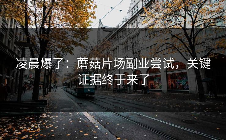 凌晨爆了：蘑菇片场副业尝试，关键证据终于来了